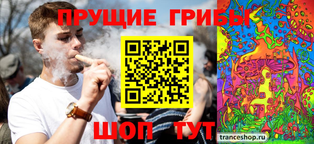 Псилоцибиновые грибы Psilocybe  Вход с VPN  Асбест  Галлюциногенные грибы Psilocybine cubensis 